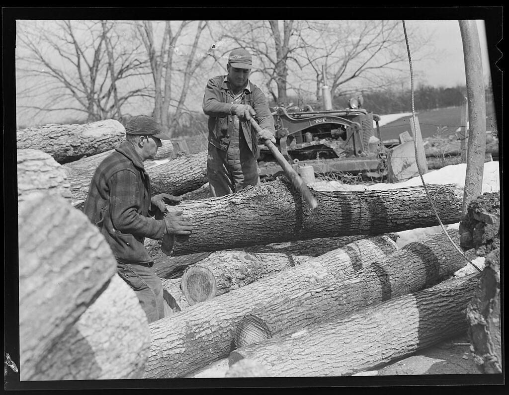 bowsaw