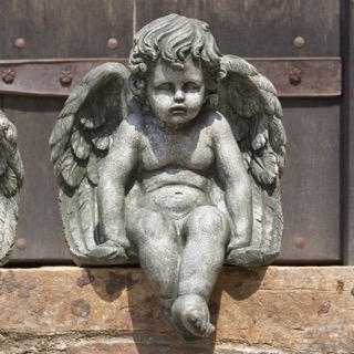 cherub