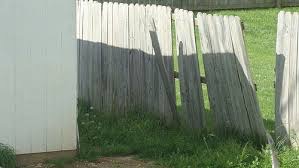 derelectfence