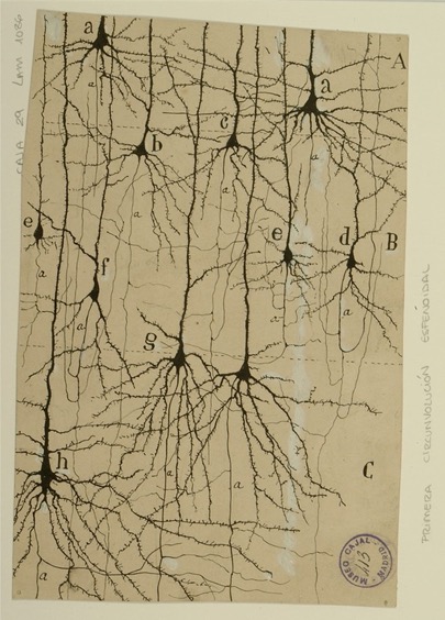 Filament