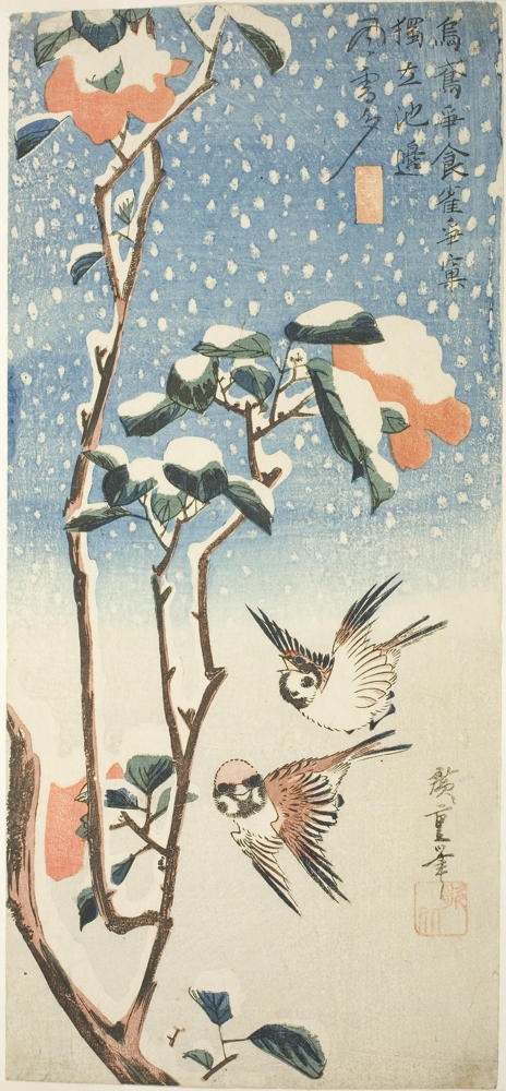 flurrieswiththecertaintyofsnow