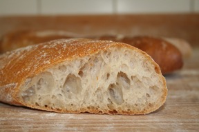 gluten