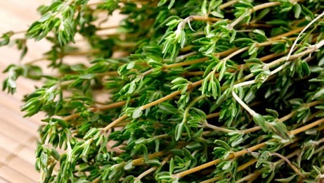 Thyme