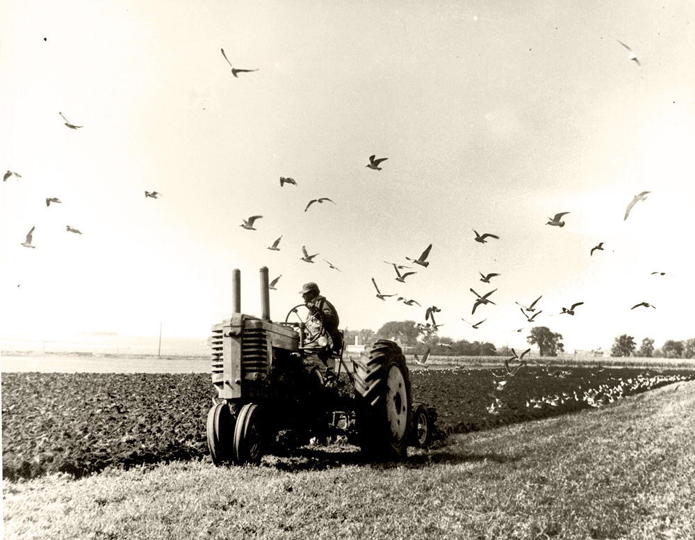 tractoring