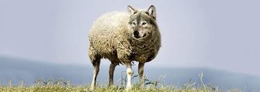 wolfsheep