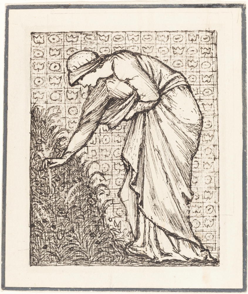 ws05142026