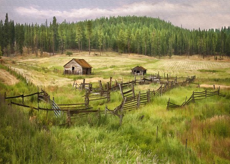 old-montana-homestead-sharon-foster